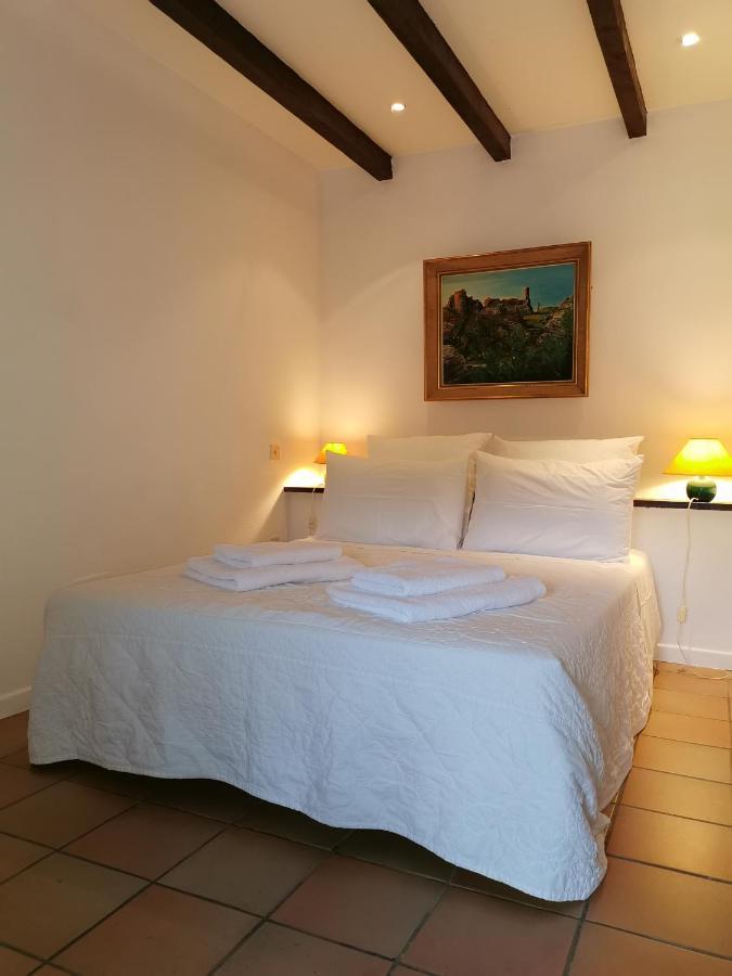 Le Cellier De Beaulieu, Au Pied De La Cite, Maison De Vacances Avec Climatisation Et Jacuzzi Carcassonne Luaran gambar