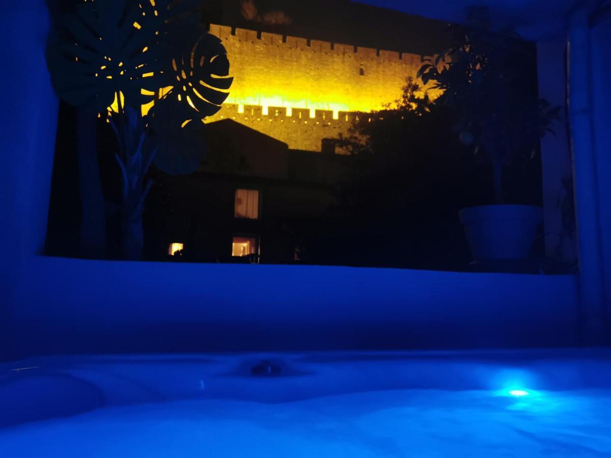 Le Cellier De Beaulieu, Au Pied De La Cite, Maison De Vacances Avec Climatisation Et Jacuzzi Carcassonne Luaran gambar